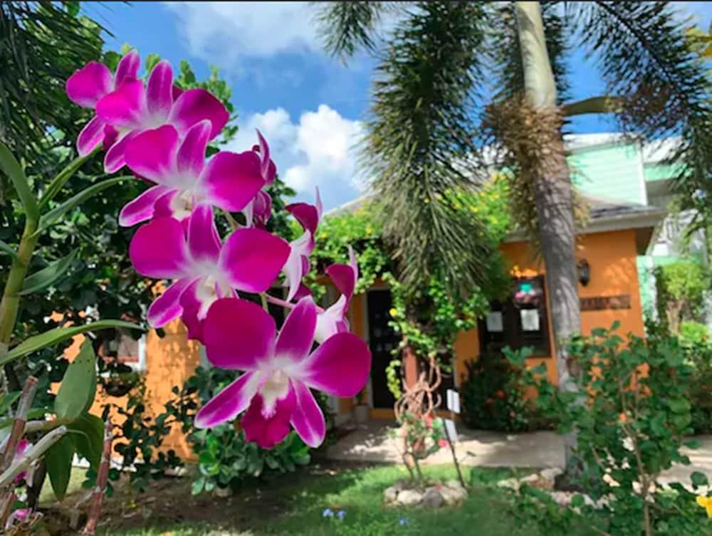Buccaneer Beach Club Dickenson Bay Εξωτερικό φωτογραφία