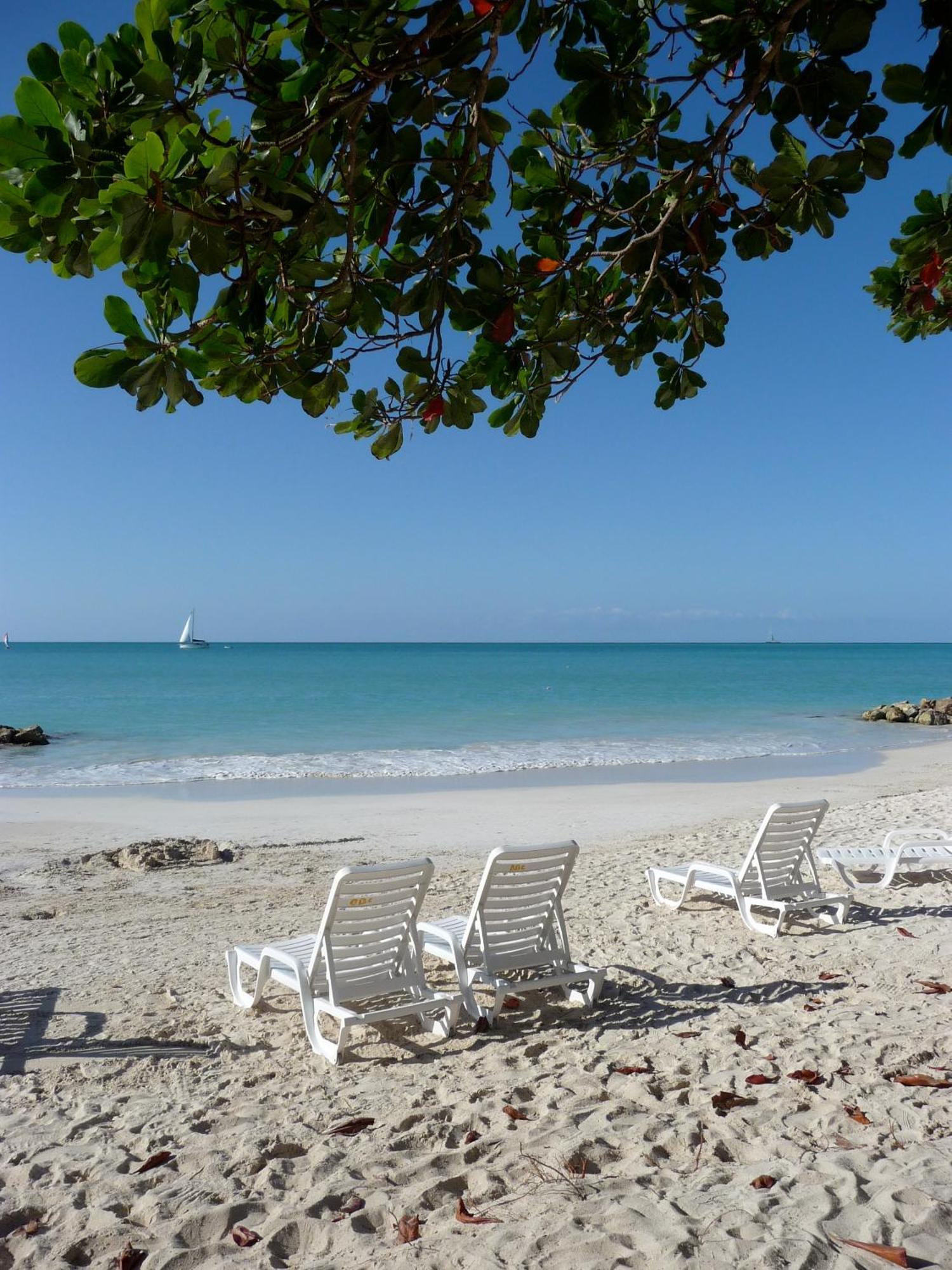 Buccaneer Beach Club Dickenson Bay Εξωτερικό φωτογραφία