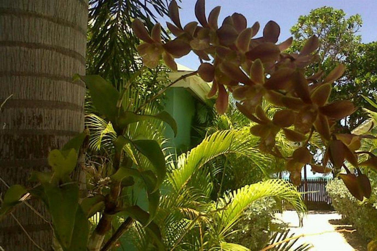 Buccaneer Beach Club Dickenson Bay Εξωτερικό φωτογραφία