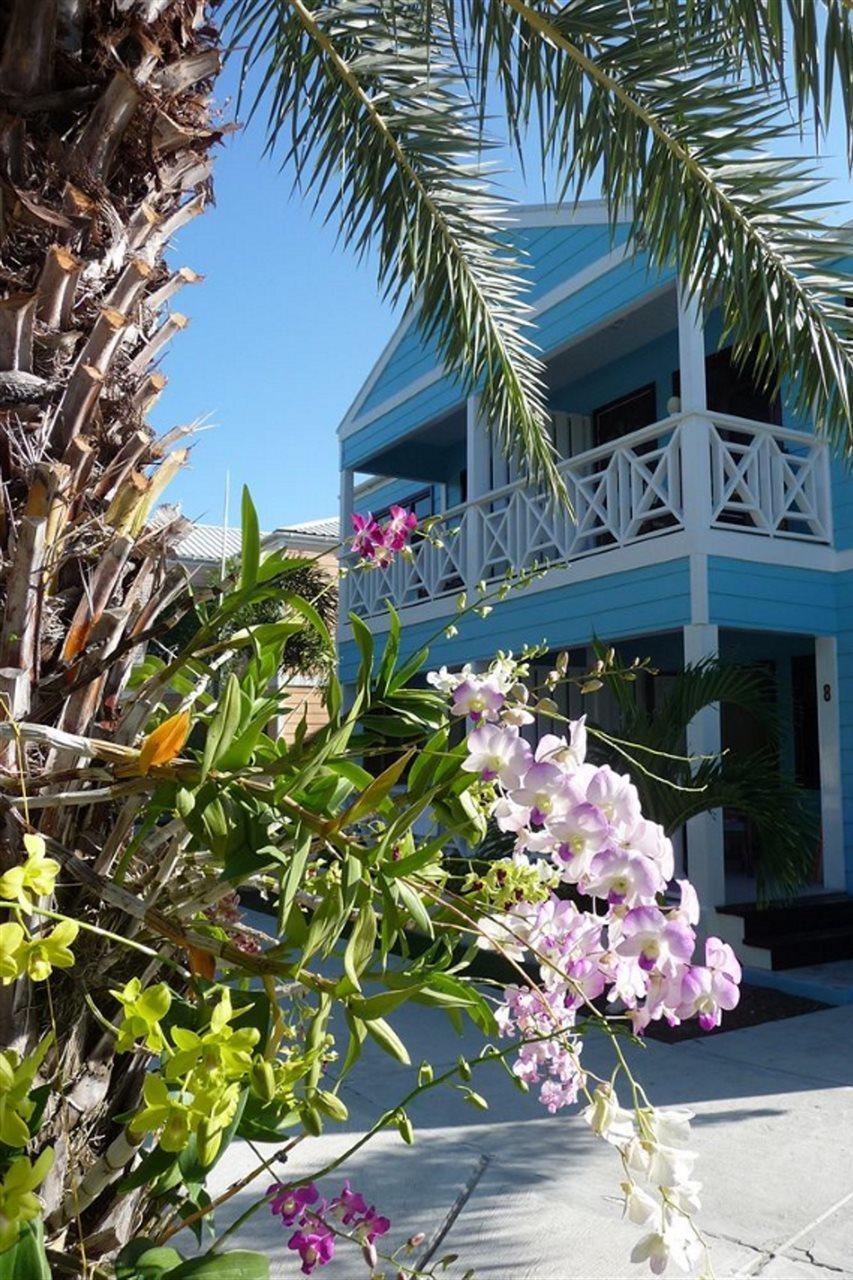 Buccaneer Beach Club Dickenson Bay Εξωτερικό φωτογραφία