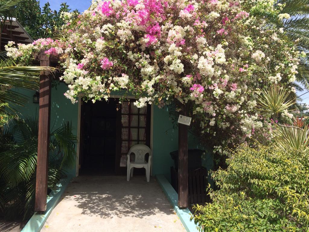 Buccaneer Beach Club Dickenson Bay Εξωτερικό φωτογραφία