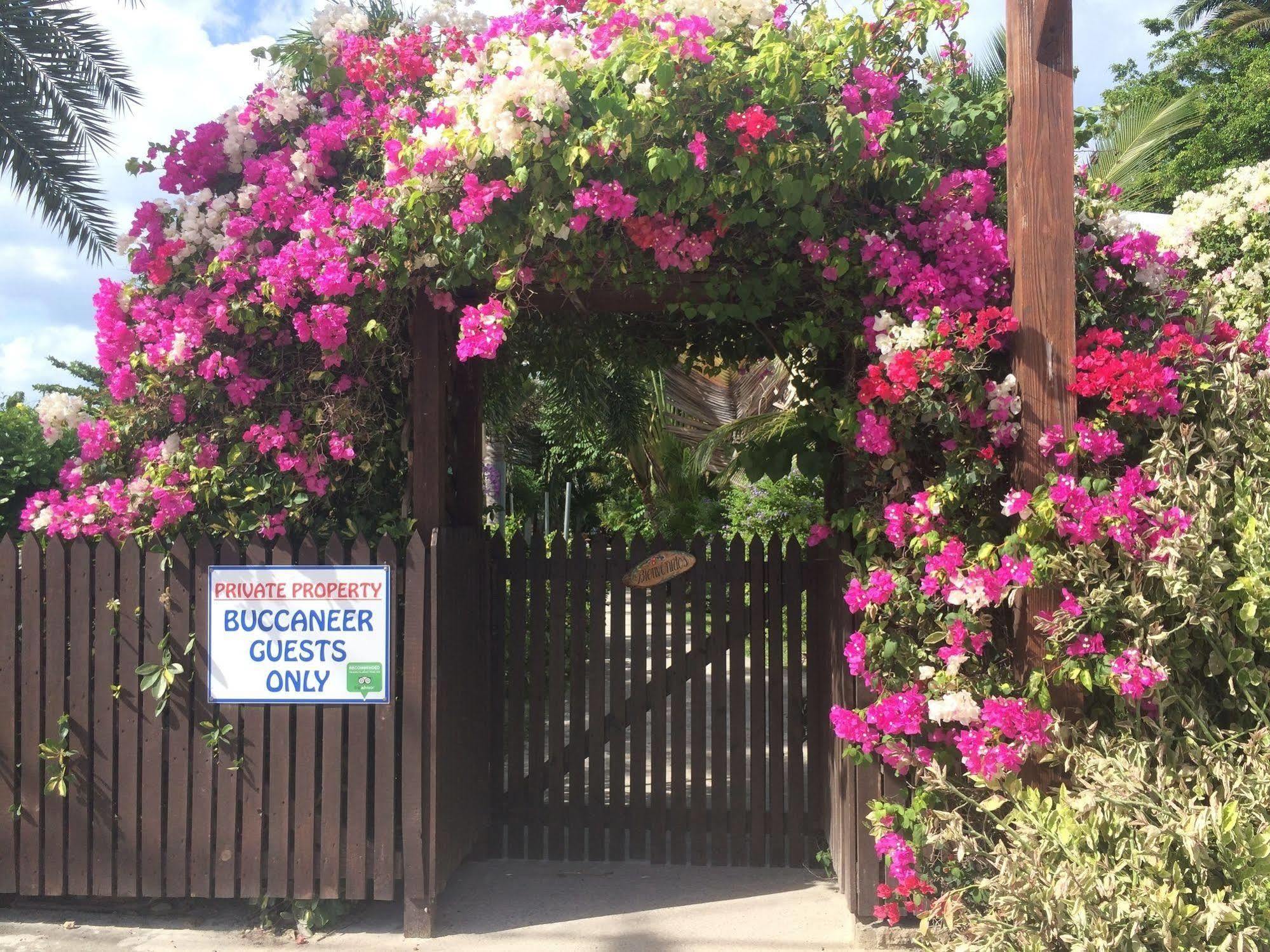 Buccaneer Beach Club Dickenson Bay Εξωτερικό φωτογραφία